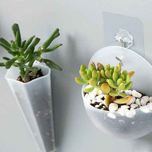 Hydroponic Flower Pot | DDK2607241029
