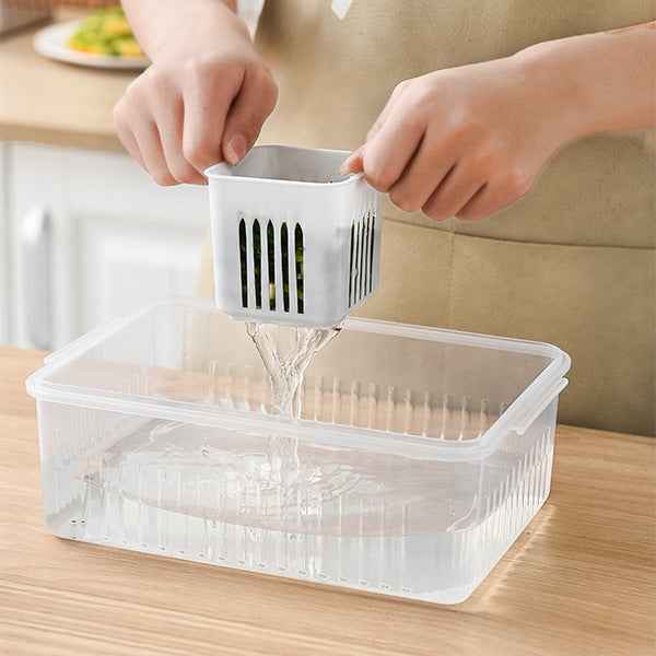 Six Compartment Onion Storage Box | DDK2608211050