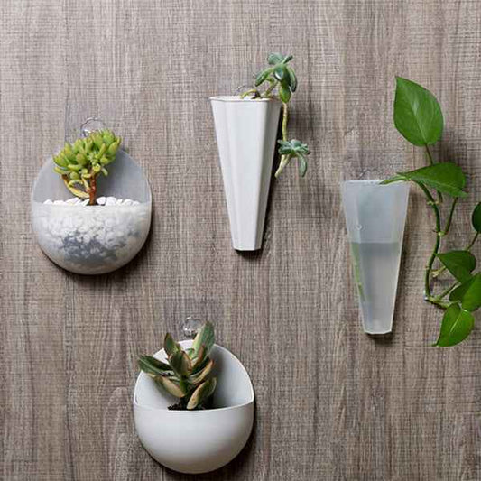 Hydroponic Flower Pot | DDK2607241029