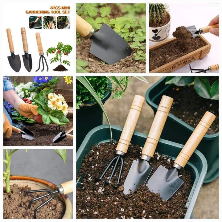 Garden Tools Set | DDK250523729