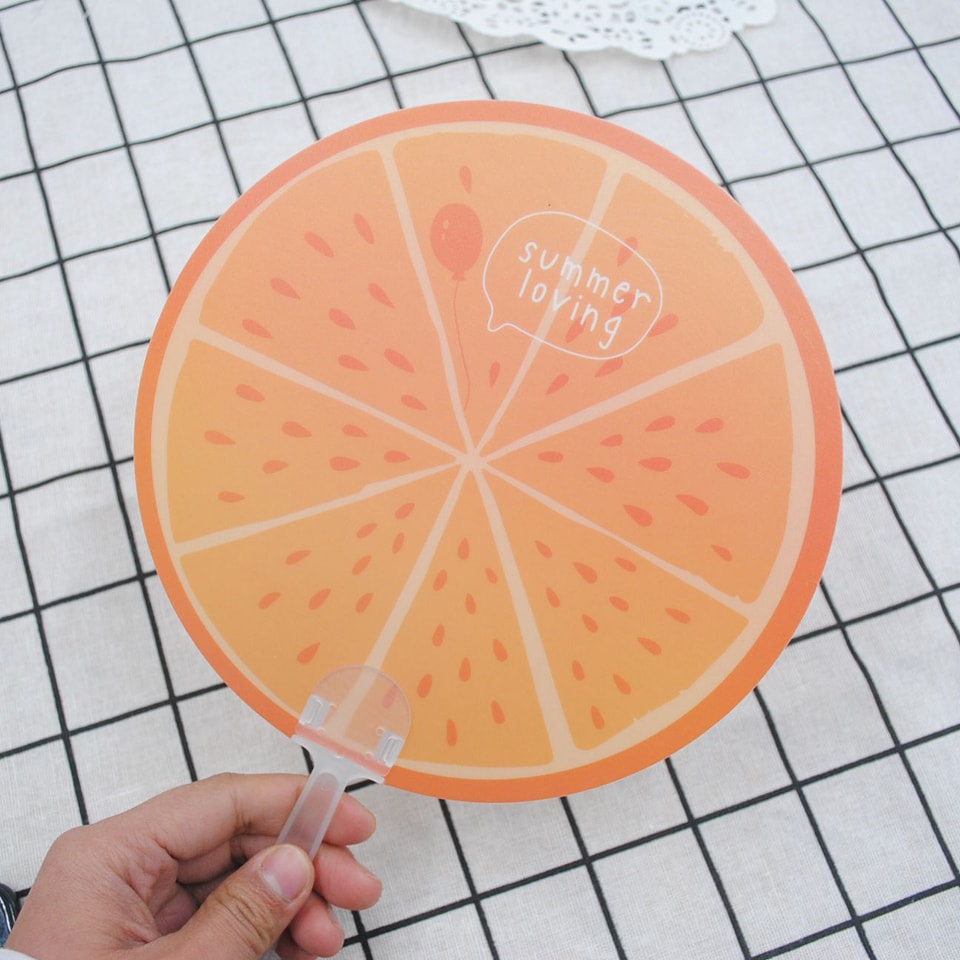 Plastik Pakha (3 Pcs Set) | DDK250611828