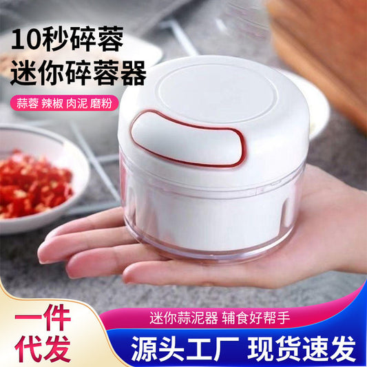 Mini Portable Garlic Masher | DDC2609211061