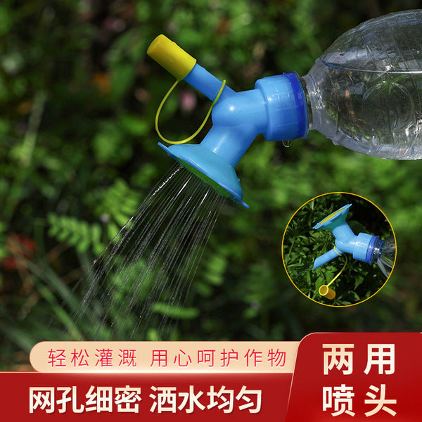 Water Fountain | DDK250522719