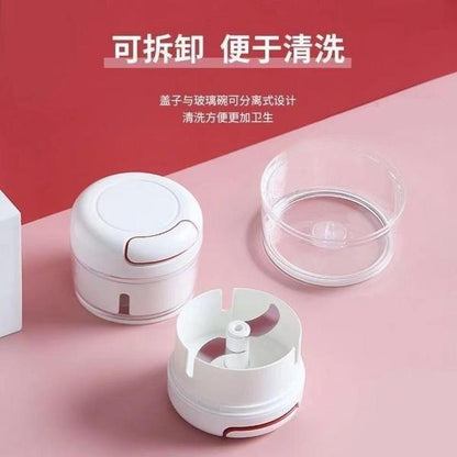 Mini Portable Garlic Masher | DDC2609211061