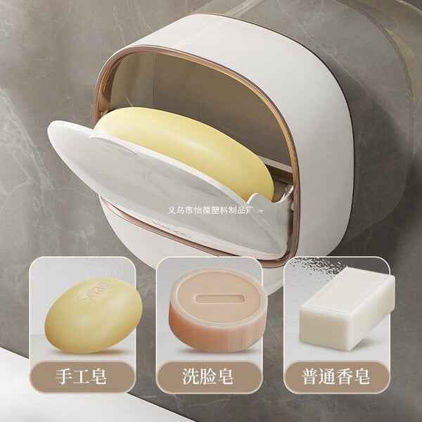 Wall-Mounted Drain Soap Box | DDK2607221023