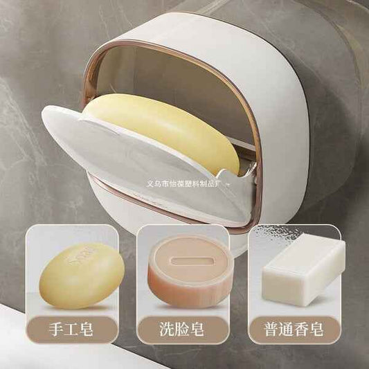 Wall-Mounted Drain Soap Box | DDK2607221023
