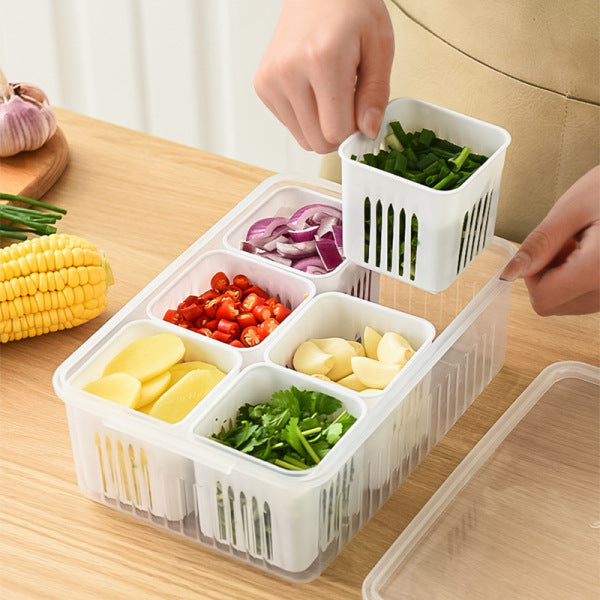 Six Compartment Onion Storage Box | DDK2608211050