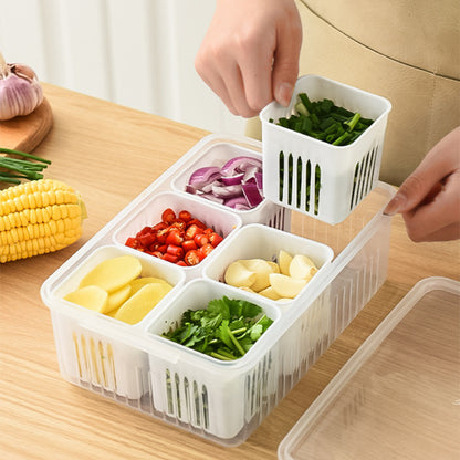 Six Compartment Onion Storage Box | DDK2608211050
