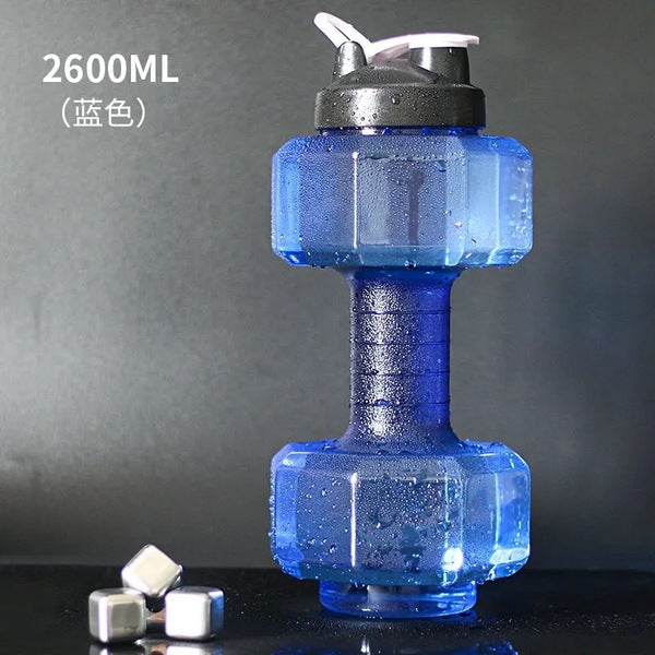 Large Capacity Creative Water Dumbbell 2.6L | DDC250915899
