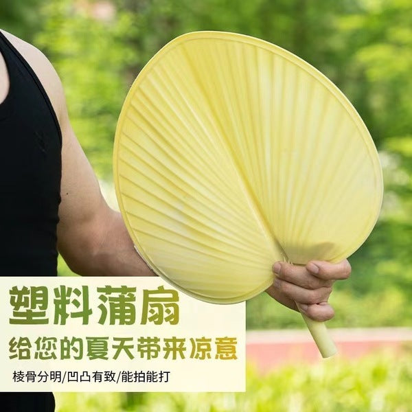 Cattail Fan | DDK250904891