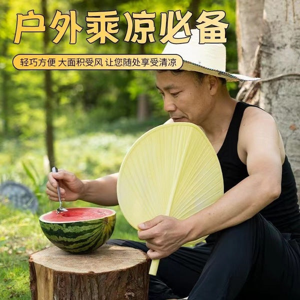 Cattail Fan | DDK250904891