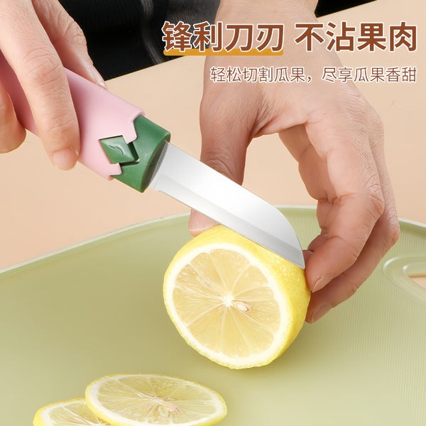 Multifunctional  2 in 1 Fruit Peeler | DDC250904890