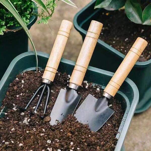Garden Tools Set | DDK250523729