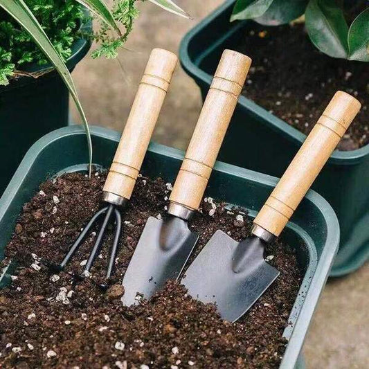 🌱Garden Tools Set🌱 | DDK250523729