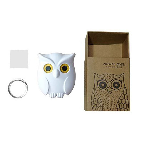 Winking Owl Magnetic Hook | DDC250525756