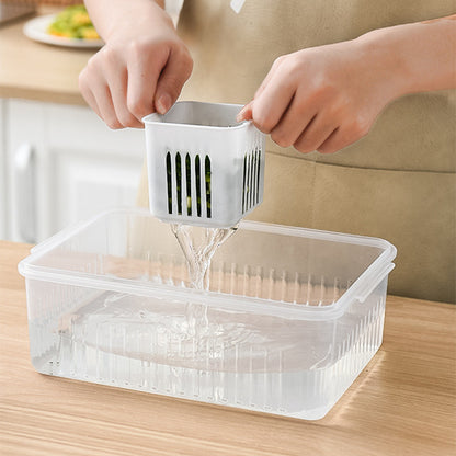 Six Compartment Onion Storage Box | DDK2608211050