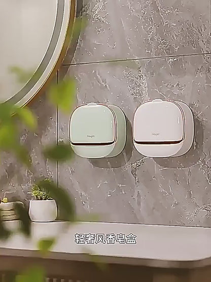 Wall-Mounted Drain Soap Box | DDK2607221023
