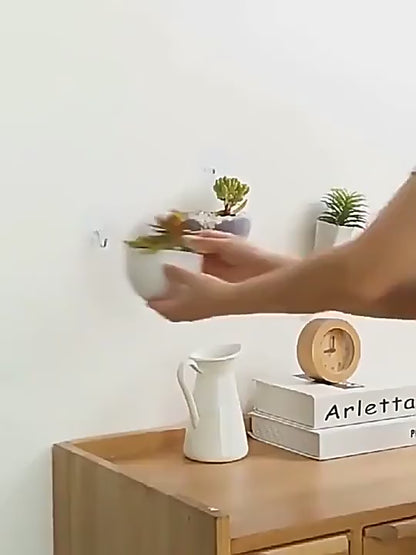 Hydroponic Flower Pot | DDK2607241029