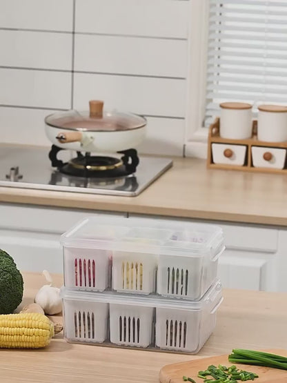 Six Compartment Onion Storage Box | DDK2608211050
