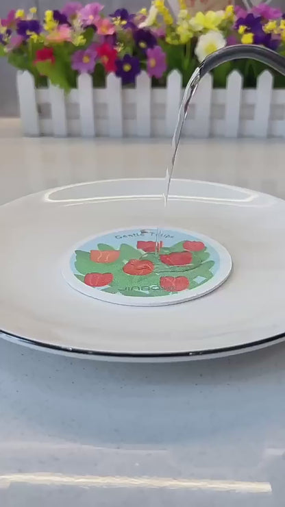 Dishwashing Liquid Press Bottle | DDC251231943
