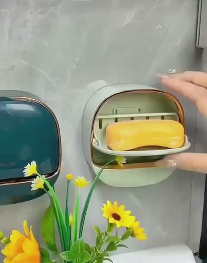 Wall-Mounted Drain Soap Box | DDK2607221023